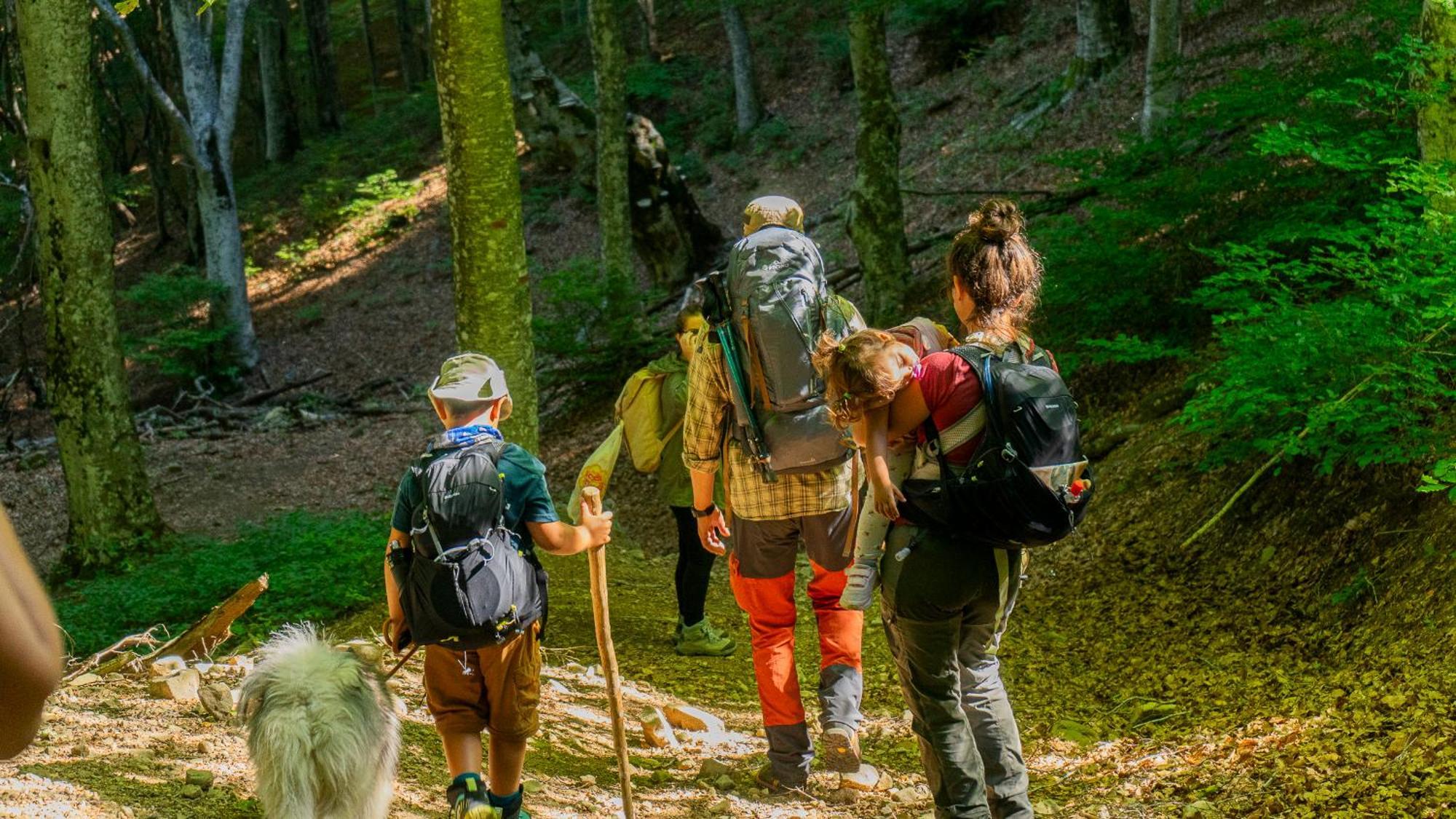 Agriturismo Le Ceregne Bio Pieve Santo Stefano Kültér fotó